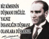 1753250286034.png