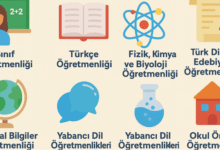 öğretmen branşları